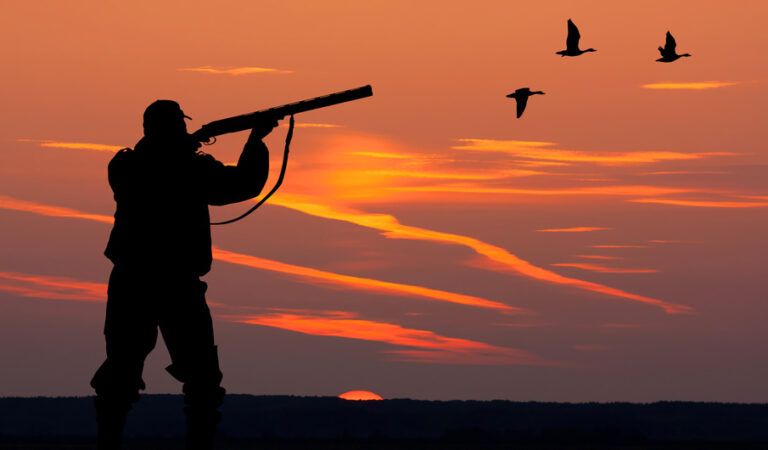 Lire la suite à propos de l’article Chasse à Plaudren